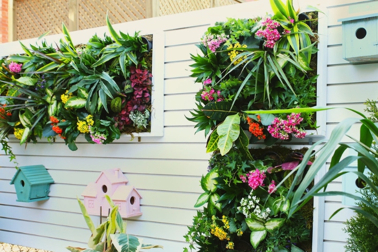 DIY vertical garden Transform Your Space with Greenery