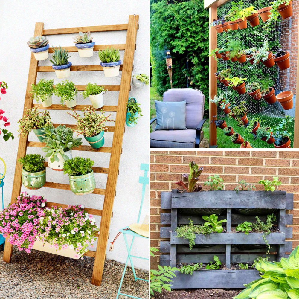 How to Build Your Own DIY Vertical Garden Wall